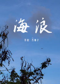 海贼王